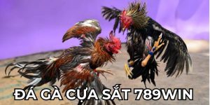 Đá gà cựa sắt 789Win